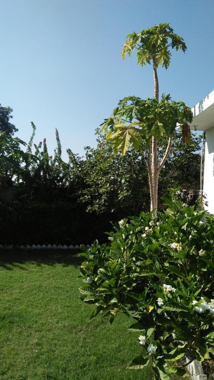 Prem Home Stay Khadzsuráhó Kültér fotó